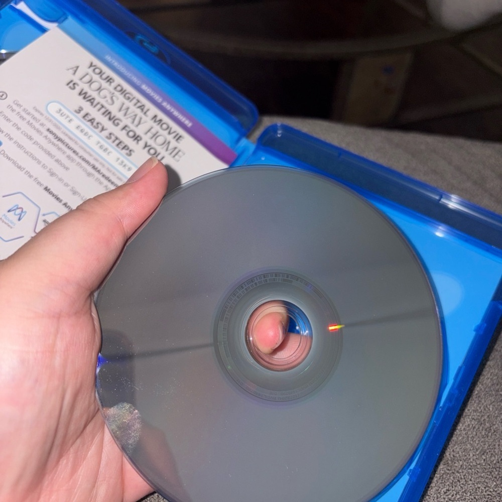 A Dog's Way Home Blu-ray DVD Digital - Picture 4 of 4
